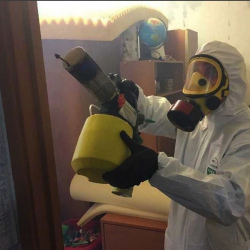 Уничтожение клопов в квартире. Осташков